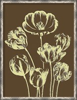 Framed Tulip 4