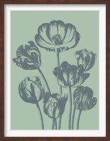 Framed Tulip 8