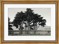 Framed Cypress Trees and Balusters