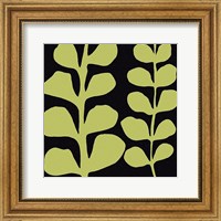 Framed Green Fern on Black