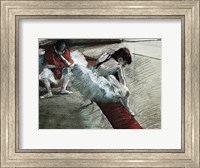 Framed Gallery Player