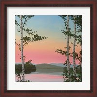 Framed Cooper Sunset Birches