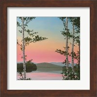 Framed Cooper Sunset Birches