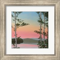 Framed Cooper Sunset Birches