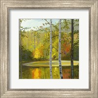Framed Cooper Lake, Autumn