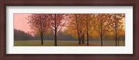 Framed Autumn Dawn, Maples