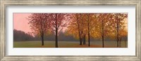 Framed Autumn Dawn, Maples
