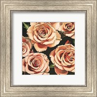 Framed Roses