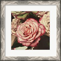 Framed Vintage Rose