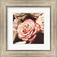 Framed Vintage Rose