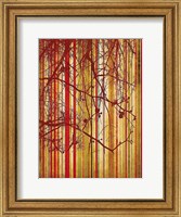 Framed Auburn Stripe