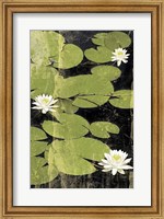 Framed Pond Blossoms