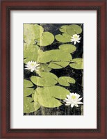 Framed Pond Blossoms