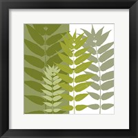 Garden Greens Framed Print