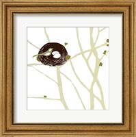 Framed Feathers and Twigs