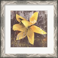 Framed Tulip Fresco (yellow)