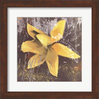 Framed Tulip Fresco (yellow)
