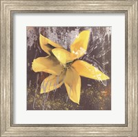 Framed Tulip Fresco (yellow)