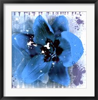 Tulip Fresco (blue) Framed Print
