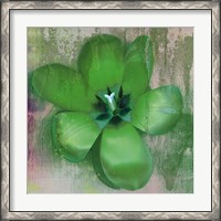 Framed Tulip Fresco (green)