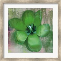 Framed Tulip Fresco (green)