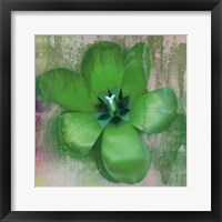 Tulip Fresco (green) Framed Print