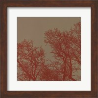 Framed Cinnamon Tree I