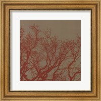 Framed Cinnamon Tree II