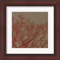 Framed Cinnamon Tree II