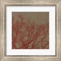 Framed Cinnamon Tree II