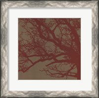 Framed Cinnamon Tree III