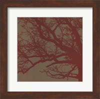 Framed Cinnamon Tree III