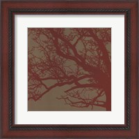 Framed Cinnamon Tree III