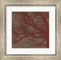 Framed Cinnamon Tree III