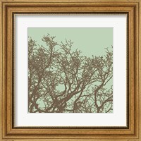 Framed Winter Tree II