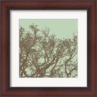 Framed Winter Tree II