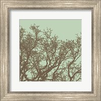 Framed Winter Tree II