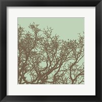 Winter Tree II Framed Print