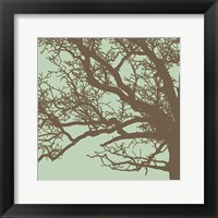 Winter Tree III Framed Print