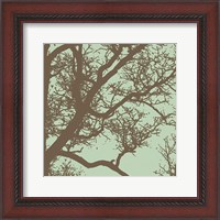 Framed Winter Tree IV