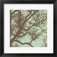 Winter Tree IV Framed Print