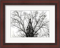 Framed City Hall (branches)