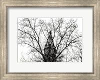 Framed City Hall (branches)