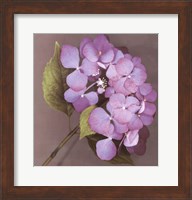 Framed Purple Hydrangea
