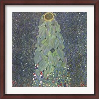 Framed Sunflower, c. 1906-1907