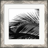 Framed Palms 13 (detail)
