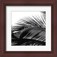 Framed Palms 13 (detail)