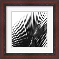 Framed Palms 14 (detail)