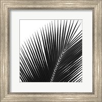 Framed Palms 14 (detail)