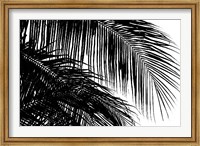 Framed Palms 3